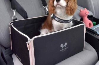 Экспертный обзор Brands4Pets: Новый стандарт качества и заботы в индустрии товаров для животных